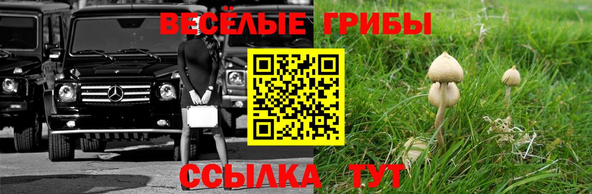 Туймазы  Псилоцибиновые грибы прущие грибы  Галлюциногенные грибы мухоморы  Вход с VPN 